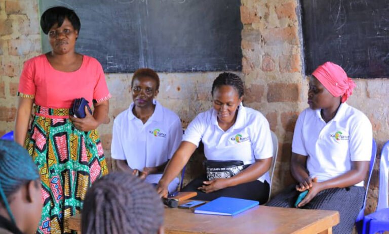 Teacher Mentoring and Skills Development